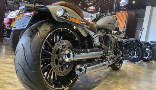 2024年モデルのBIGキャンペーンがお得！