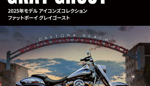 New 2025 Harley-Davidson® Flstfi – Fat Boy® Gray Ghost