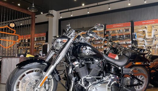 2025　FLFB　FAT BOY　Vivid Blac