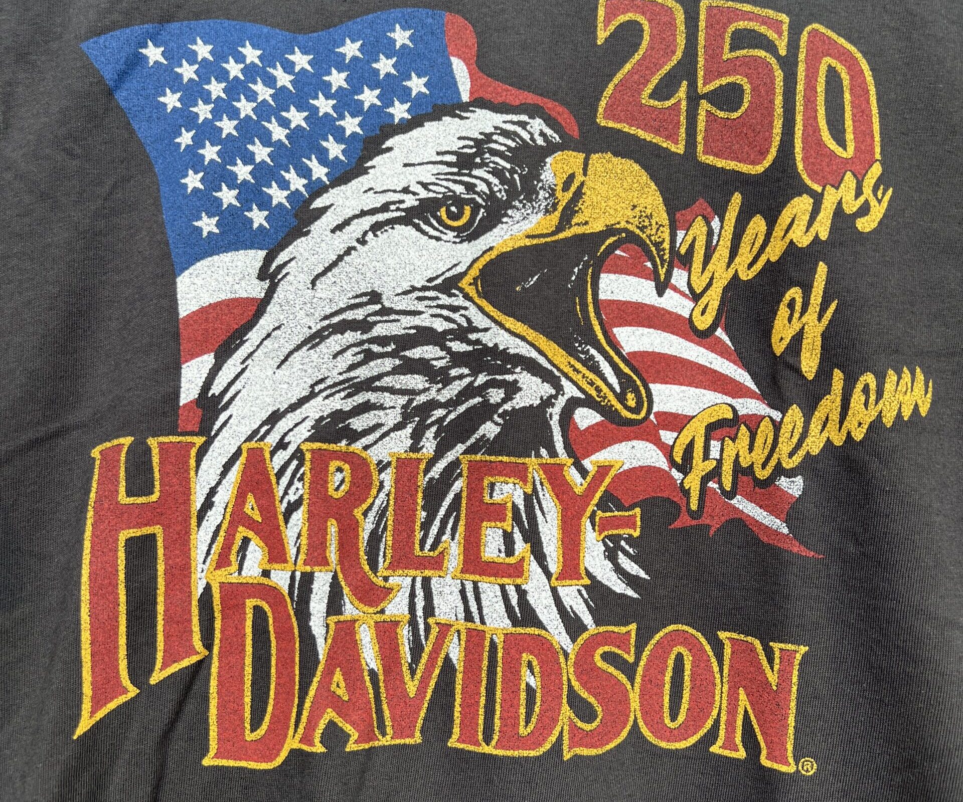 イーグルが熱い！ - Harley-Davidson® 幕張